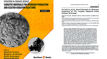 New Book Chapter published!