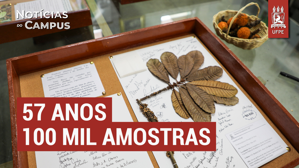Herbário Geraldo Mariz UFP, da UFPE, comemora marca de 100 mil amostras