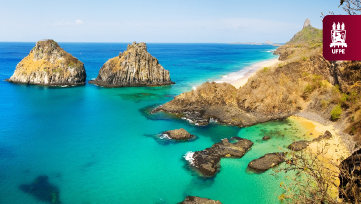 Projeto Tripletes leva inovação em saúde a Fernando de Noronha