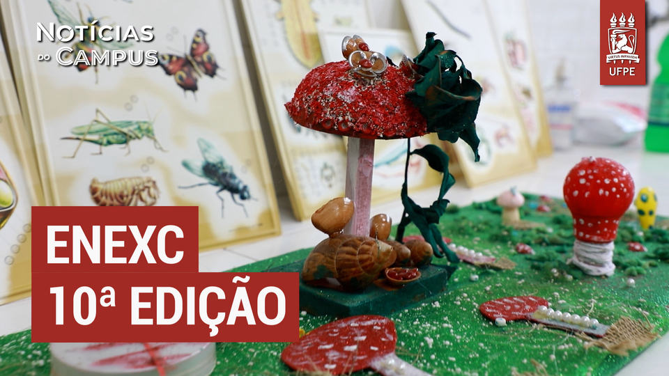 UFPE realiza décima edição do Encontro de Extensão e Cultura